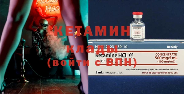 индика Бородино