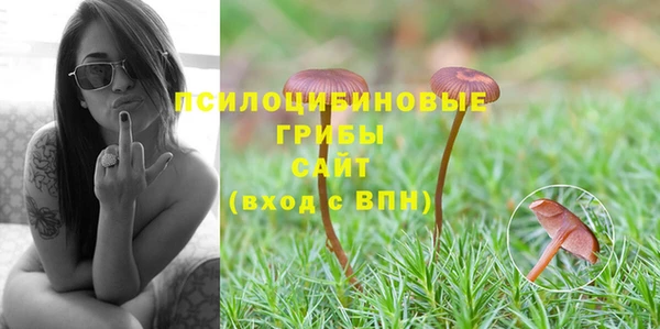 MDMA Верхний Тагил