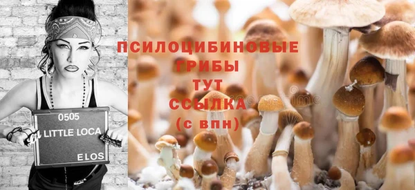 альфа пвп Верхнеуральск