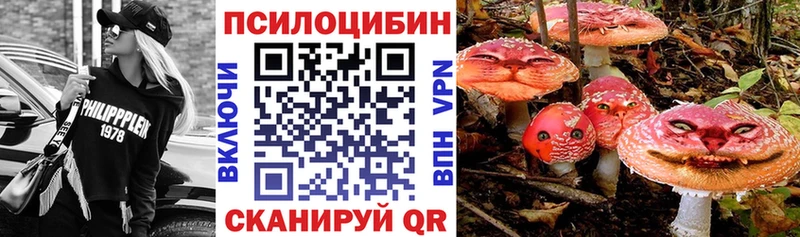 Галлюциногенные грибы GOLDEN TEACHER Новохопёрск